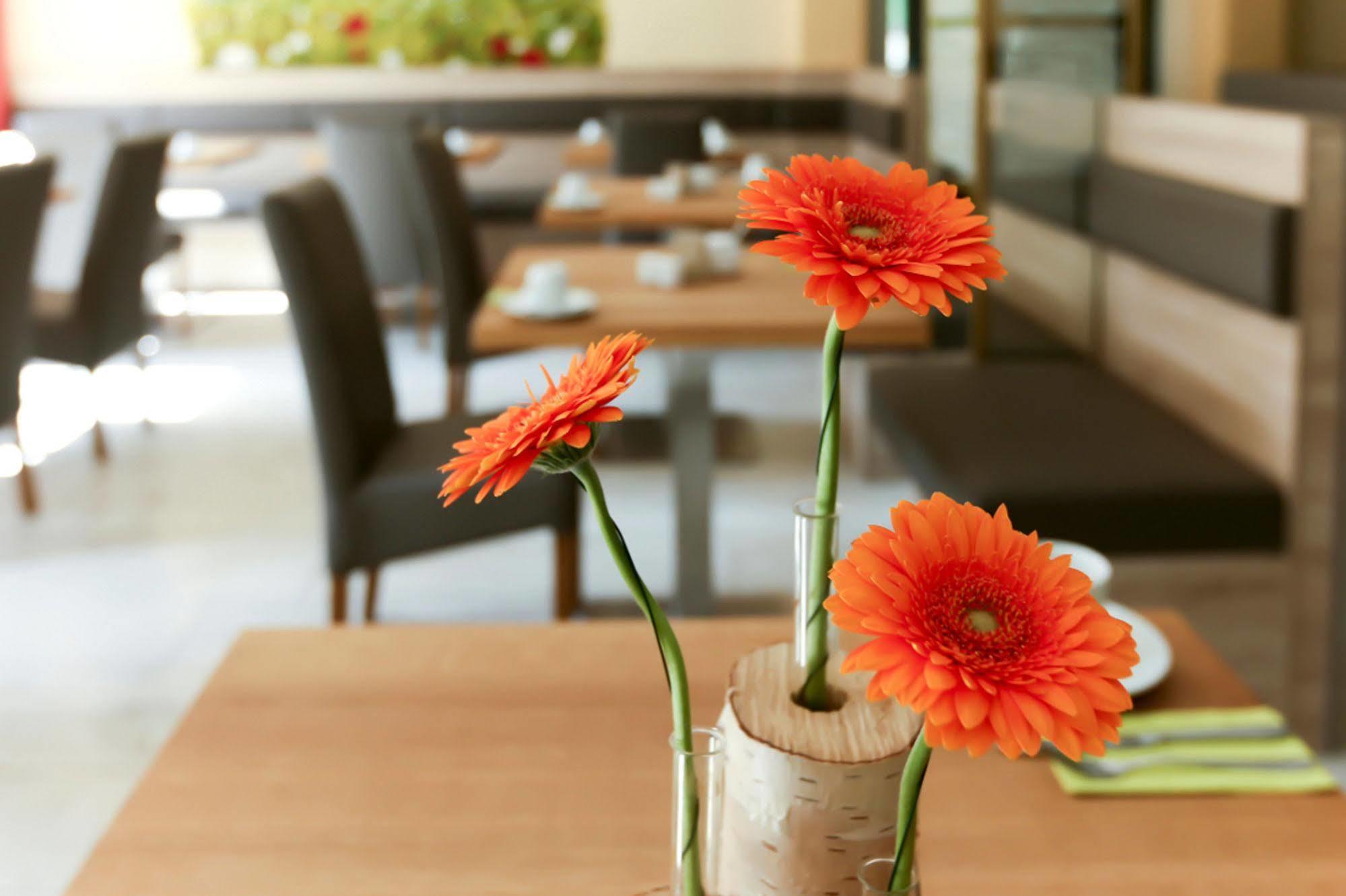 Hotel Garni Grundmuehle 바트샨다우 외부 사진